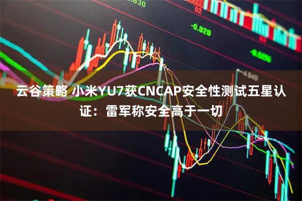 云谷策略 小米YU7获CNCAP安全性测试五星认证：雷军称安全高于一切