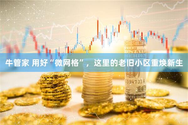 牛管家 用好“微网格”，这里的老旧小区重焕新生