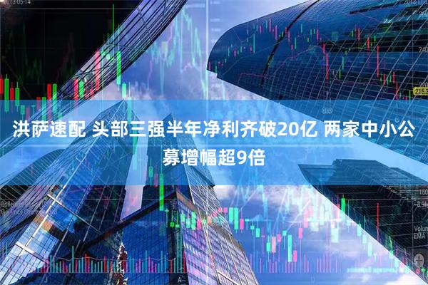 洪萨速配 头部三强半年净利齐破20亿 两家中小公募增幅超9倍
